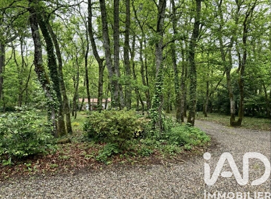 Maison 8 Pièce(s) Noaillan - Photo 14