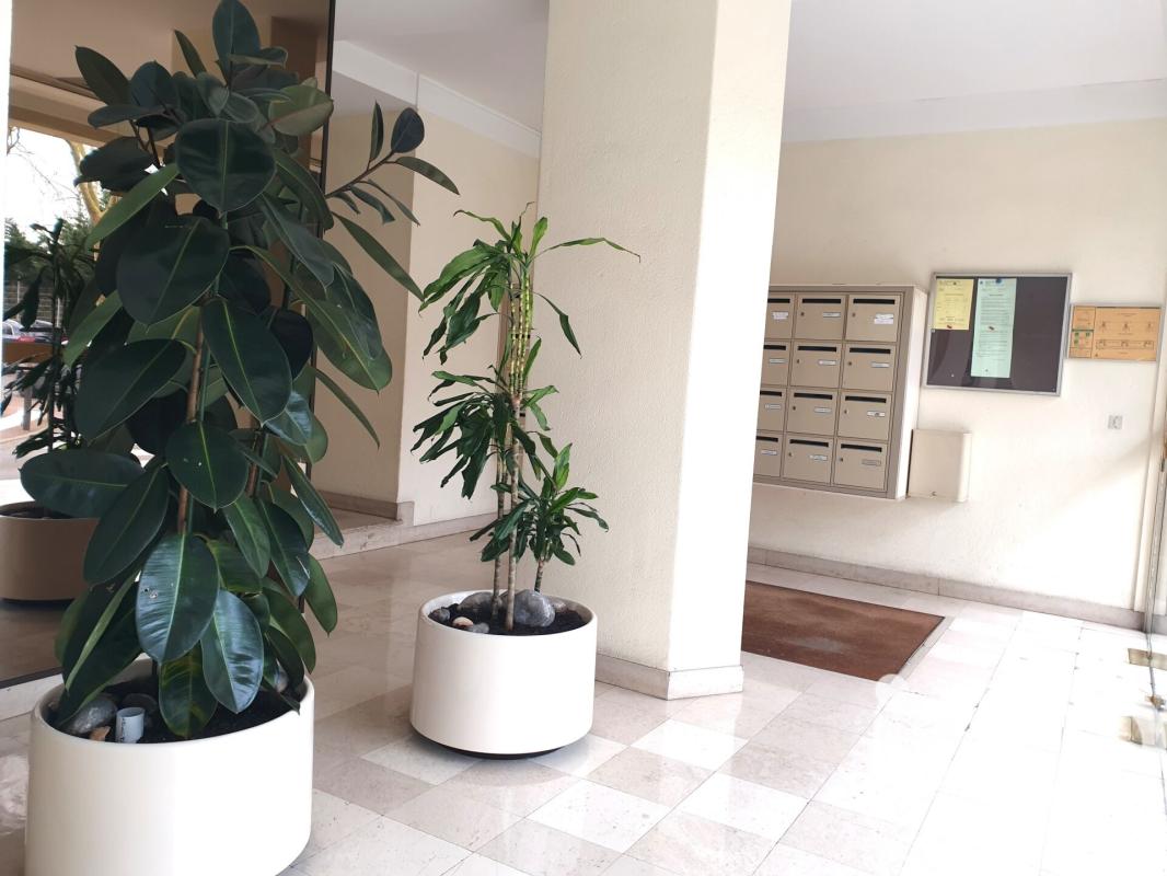 Appartement 3 Pièce(s) Antony