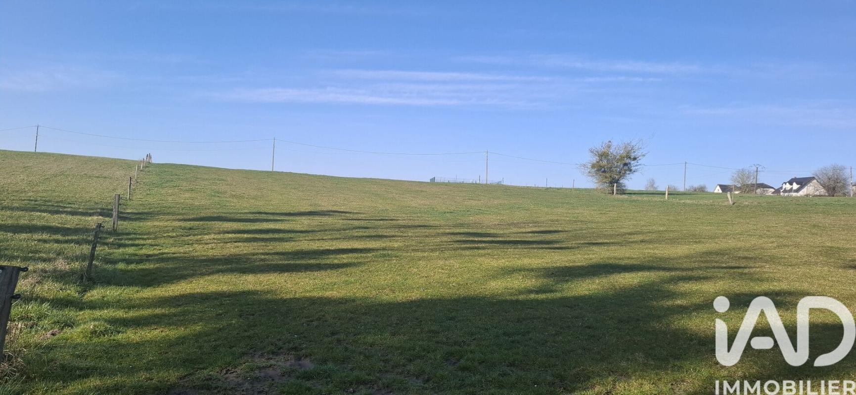 Terrain  Barst