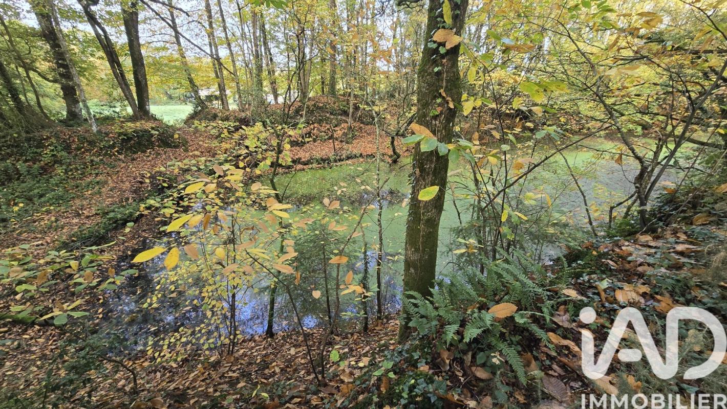 Terrain  Vieux-Vy-sur-Couesnon