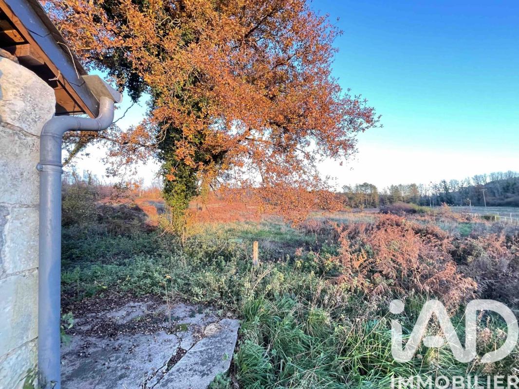 Maison 4 Pièce(s) Bourgueil - Photo 13