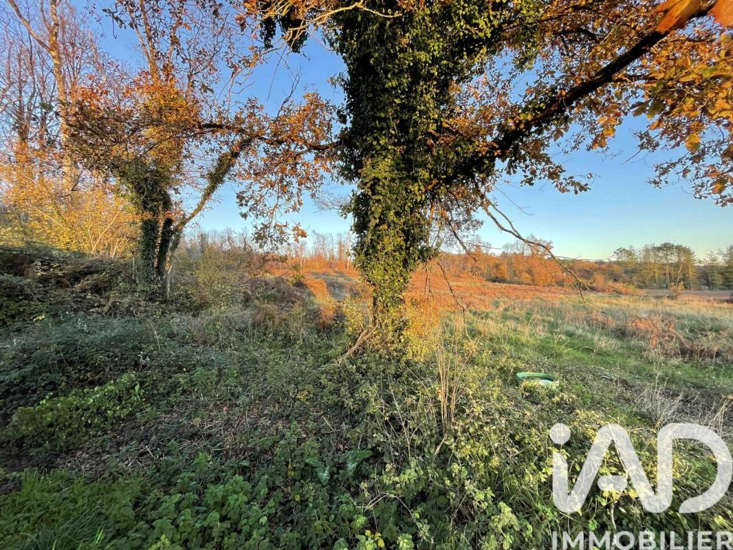 Maison 4 Pièce(s) Bourgueil - Photo 14