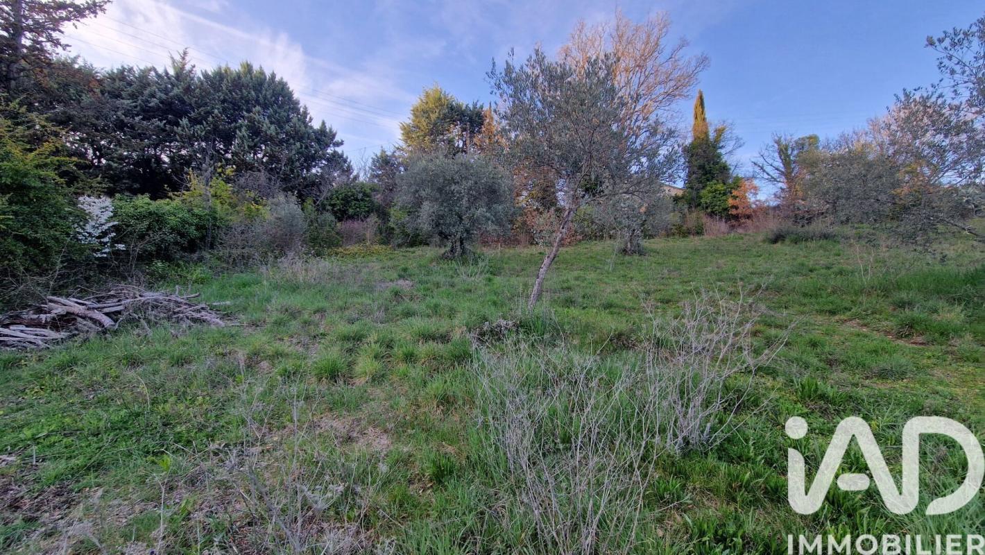 Terrain  Valensole
