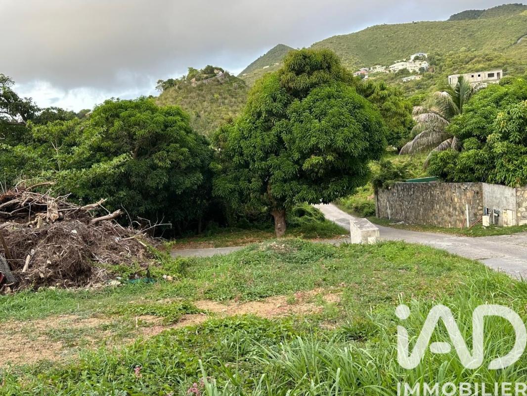 Terrain  Saint-Martin