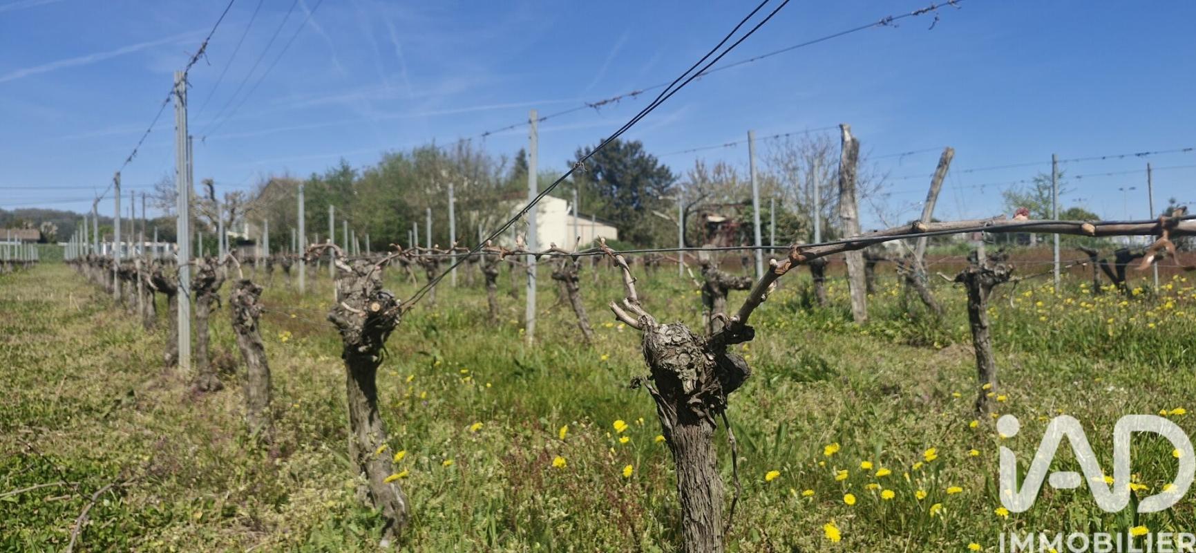 Exploitation viticole 7 Pièce(s) Saint-Magne-de-Castillon