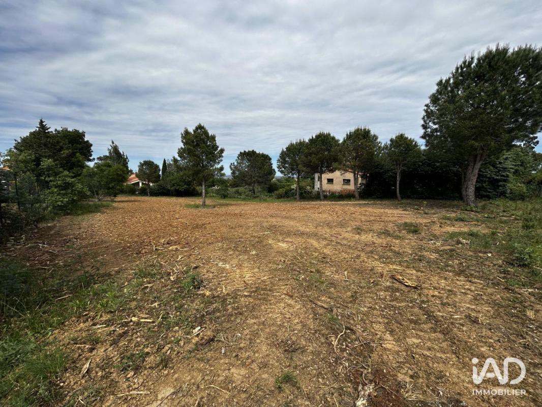 Terrain  Montesquieu-des-Albères