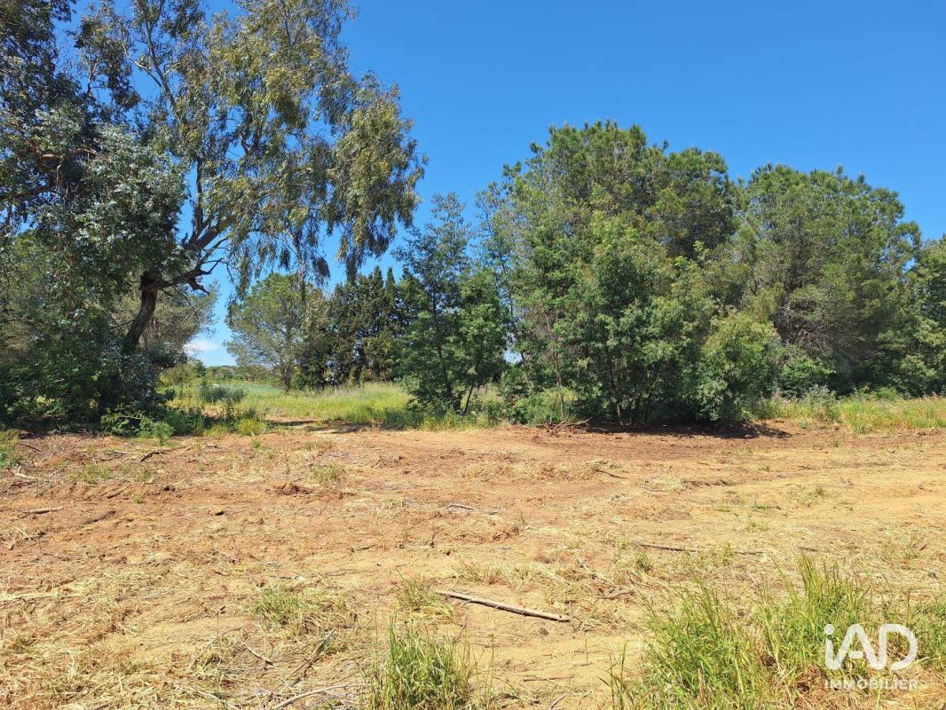 Terrain  Latour-Bas-Elne