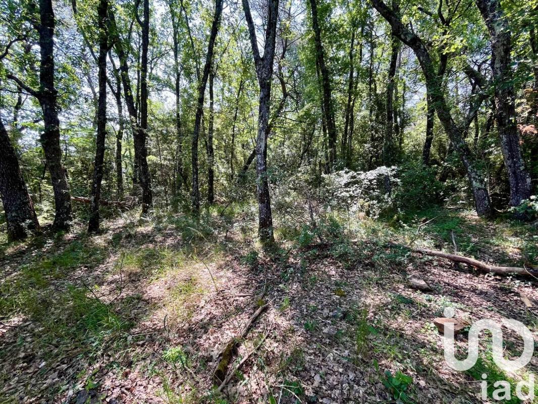 Terrain  Nans-les-Pins - Photo 19