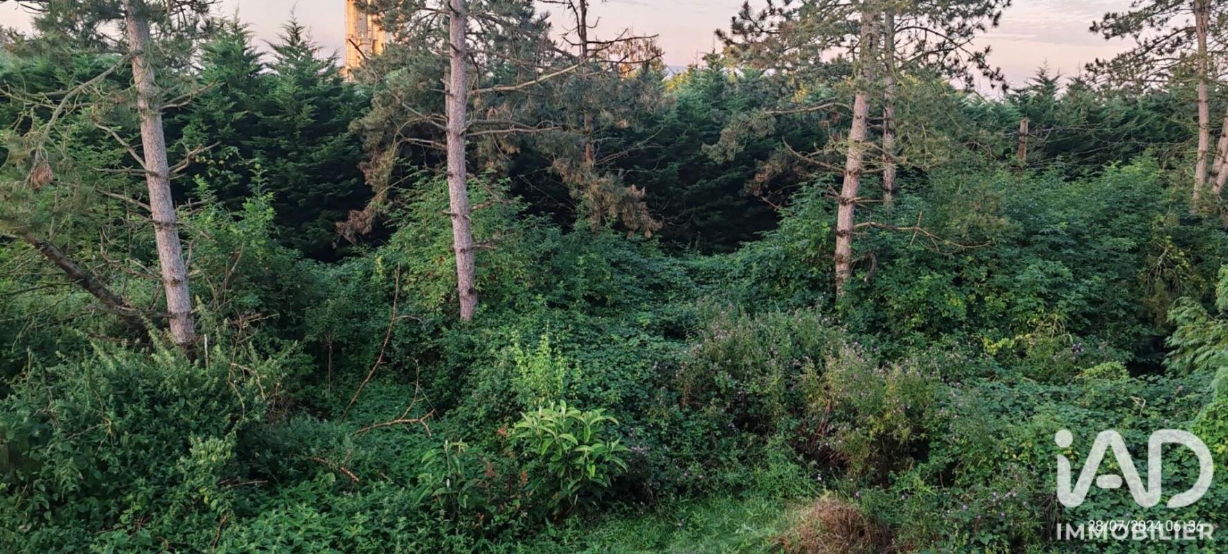 Terrain  Auneau