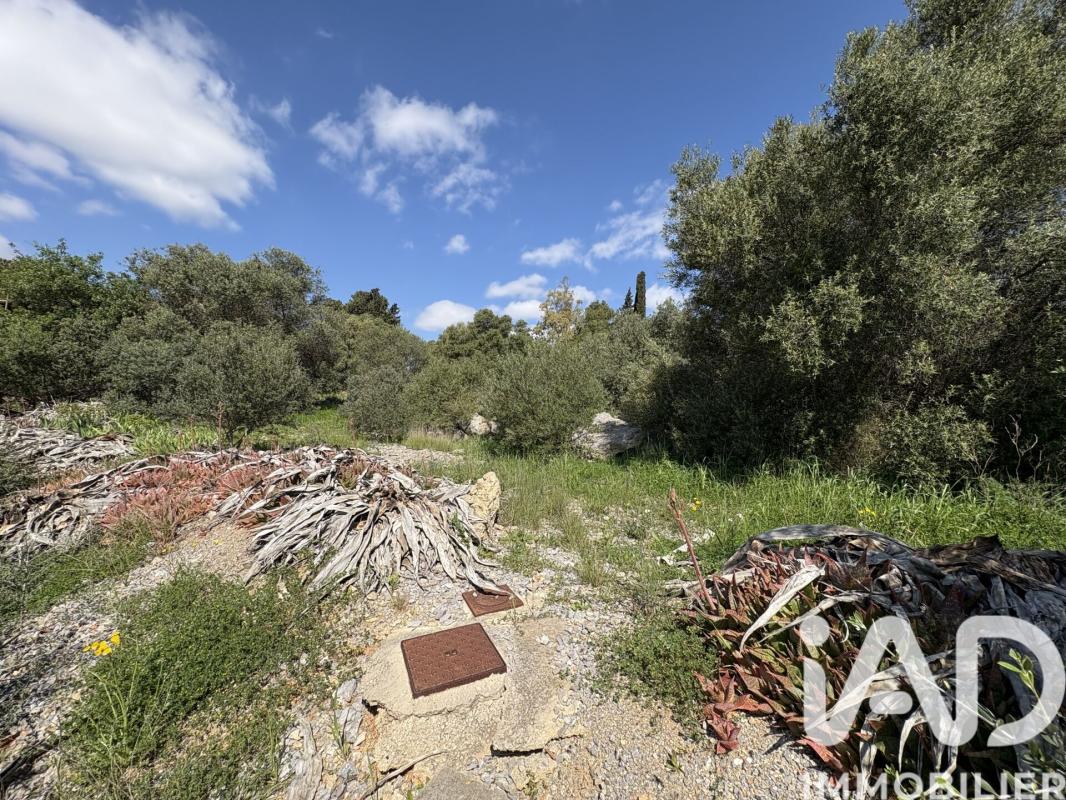 Terrain  La Palme