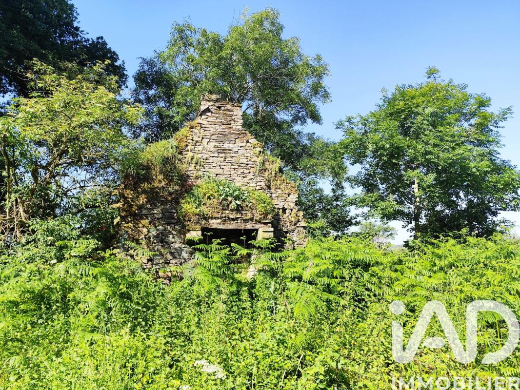 Terrain  Allaire