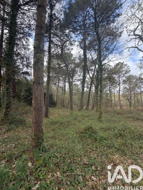 Terrain agricole  Plouhinec