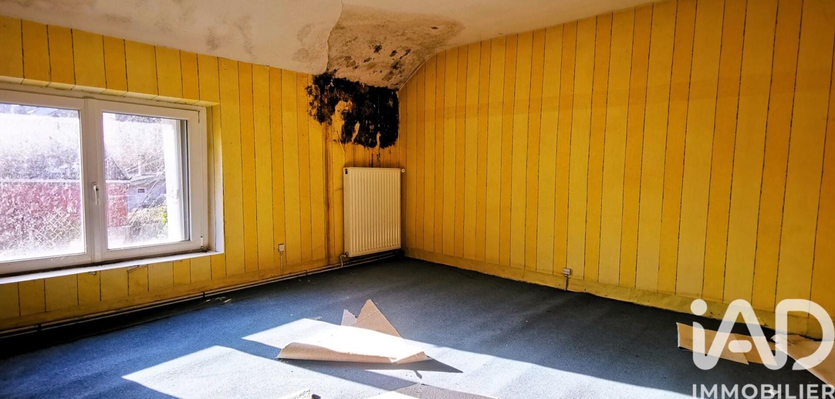 Maison 5 Pièce(s) Plombières-les-Bains - Photo 19
