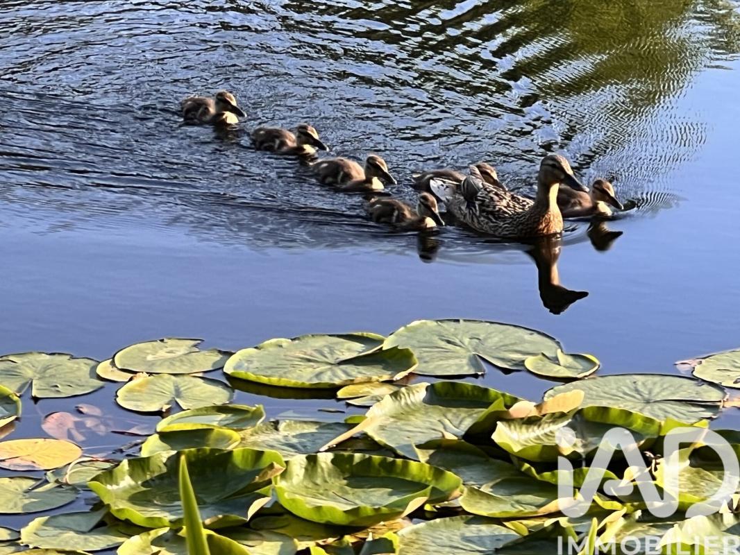 Appartement 3 Pièce(s) Six-Fours-les-Plages