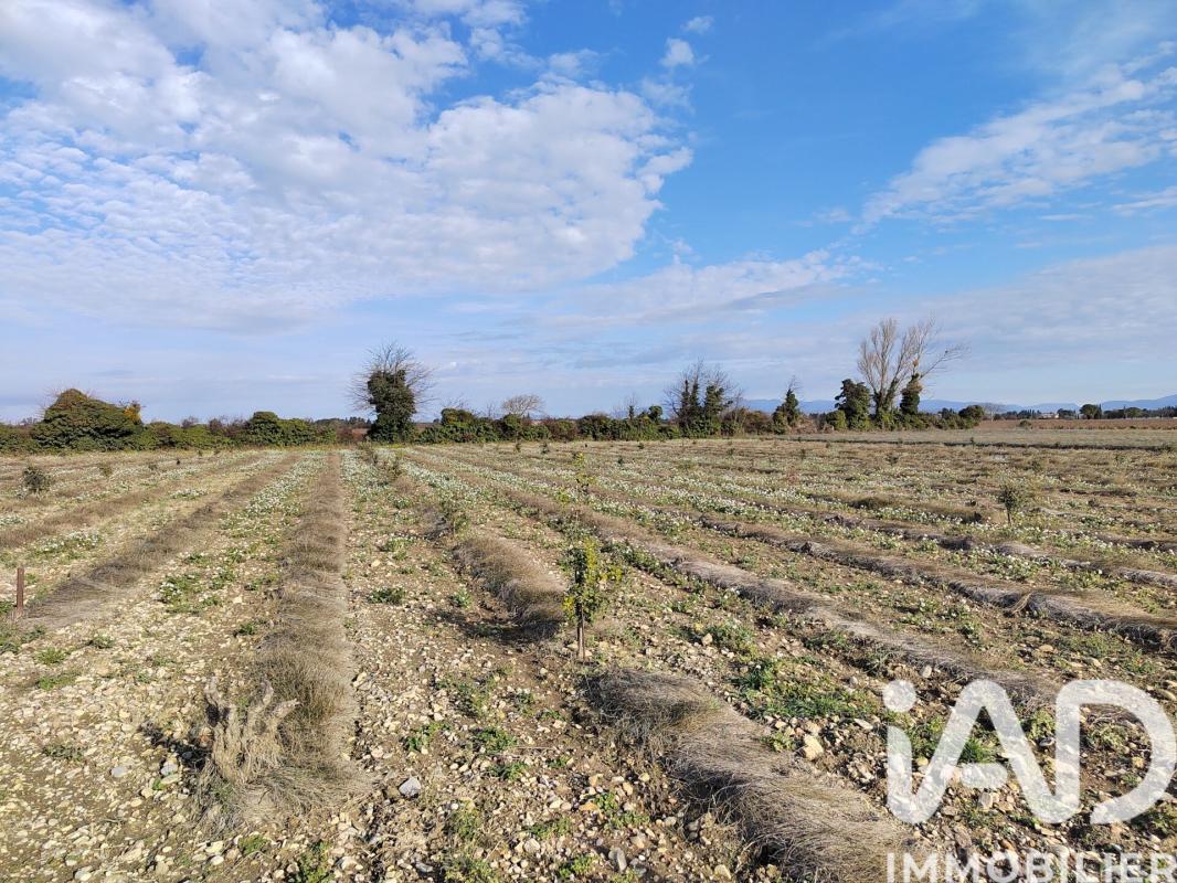 Terrain agricole  Sainte-Cécile-les-Vignes