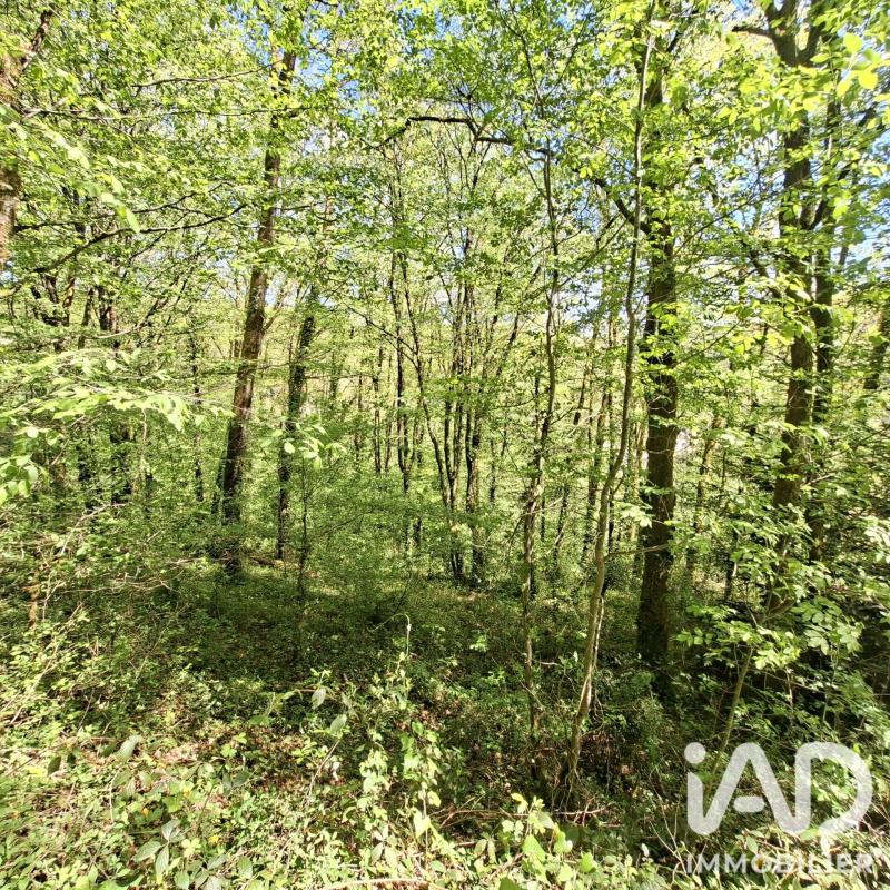 Maison 6 Pièce(s) Laguenne-sur-Avalouze - Photo 23