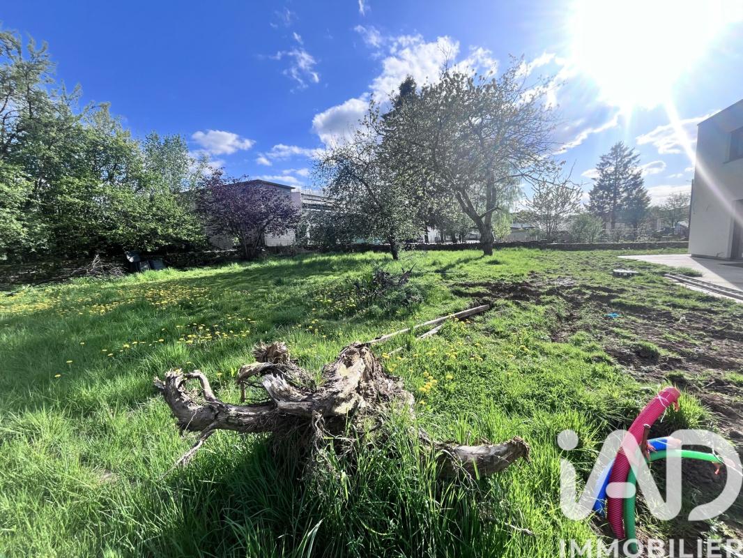 Terrain  Haucourt-Moulaine