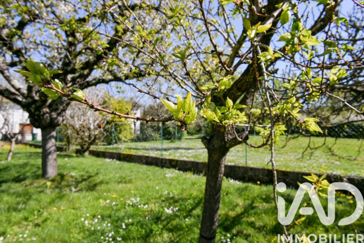 Terrain  Niort