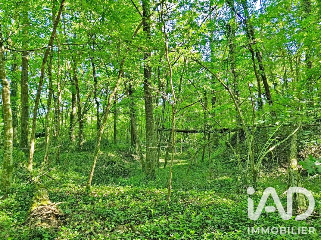 Maison 5 Pièce(s) Luynes - Photo 15