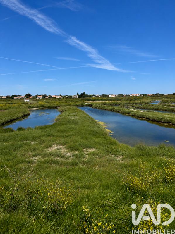 Terrain  Talmont-Saint-Hilaire