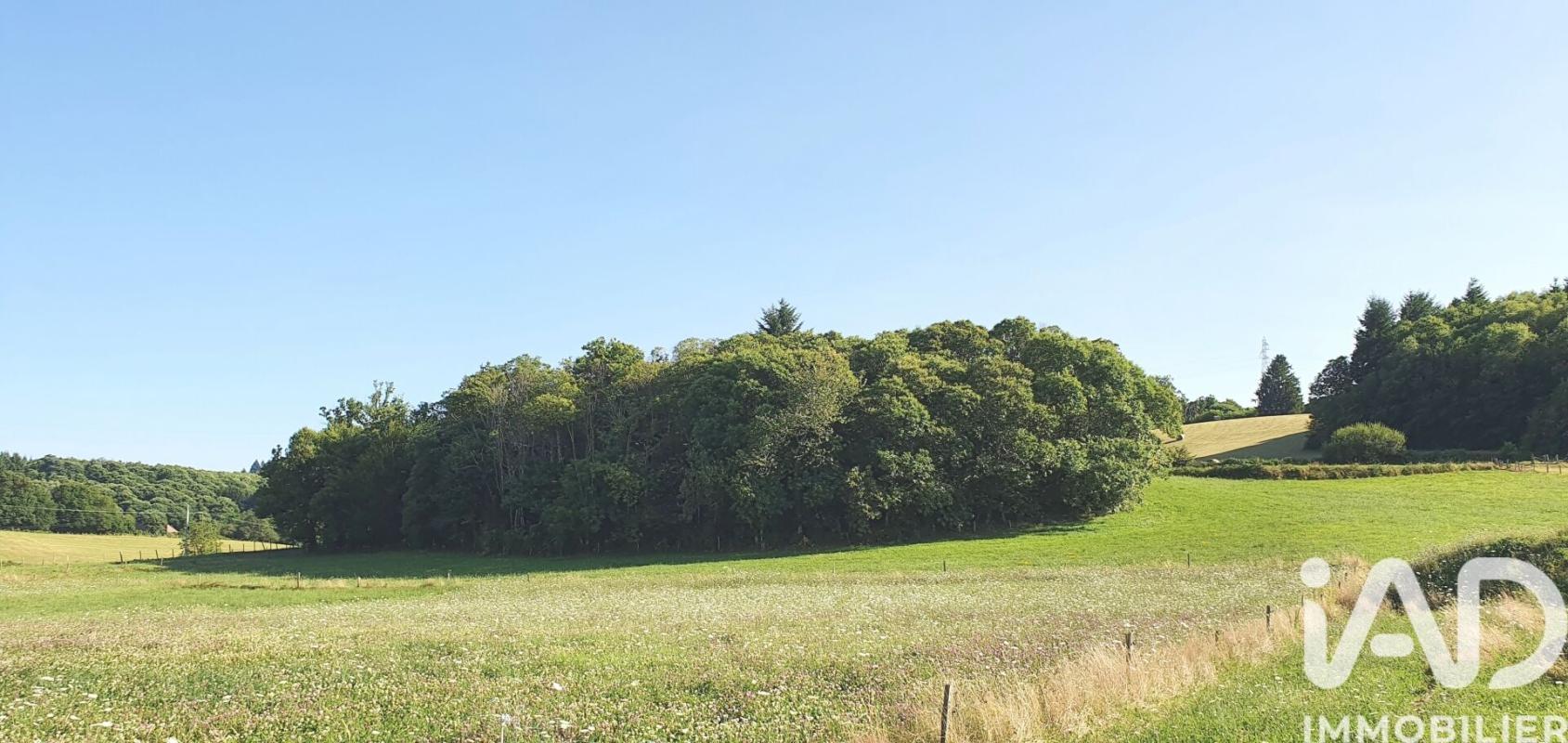 Terrain  Palazinges