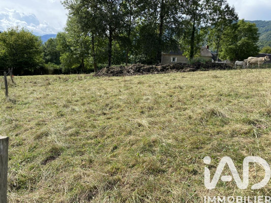 Terrain  Asque