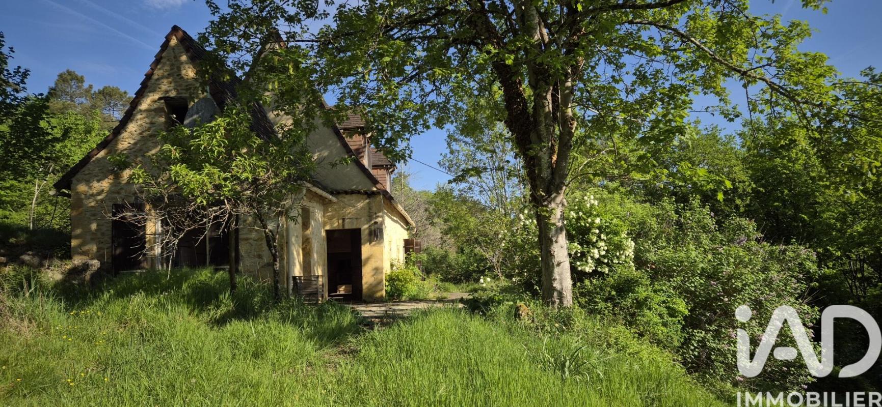 Maison 4 Pièce(s) Les Eyzies