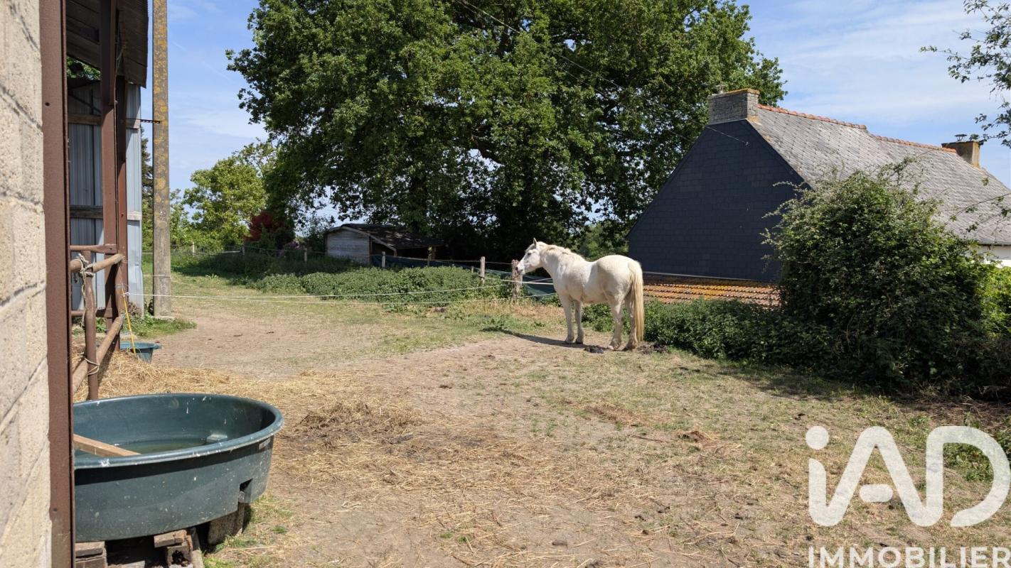 Maison 6 Pièce(s) Saint-Judoce - Photo 22
