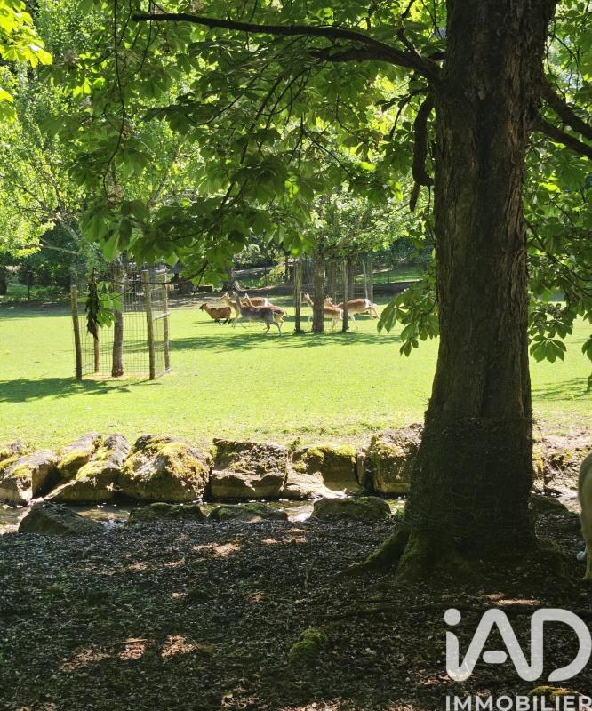 Château 11 Pièce(s) Autigny-le-Grand - Photo 19