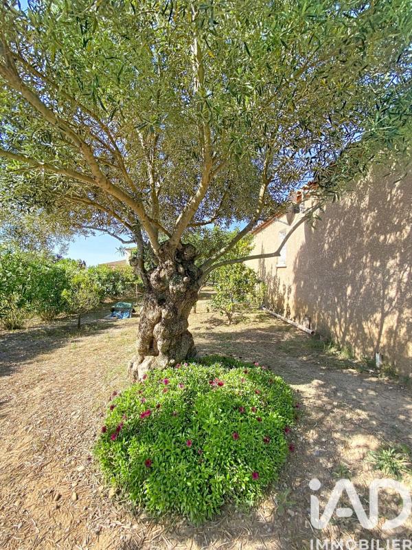Maison 5 Pièce(s) Ventenac-en-Minervois - Photo 15