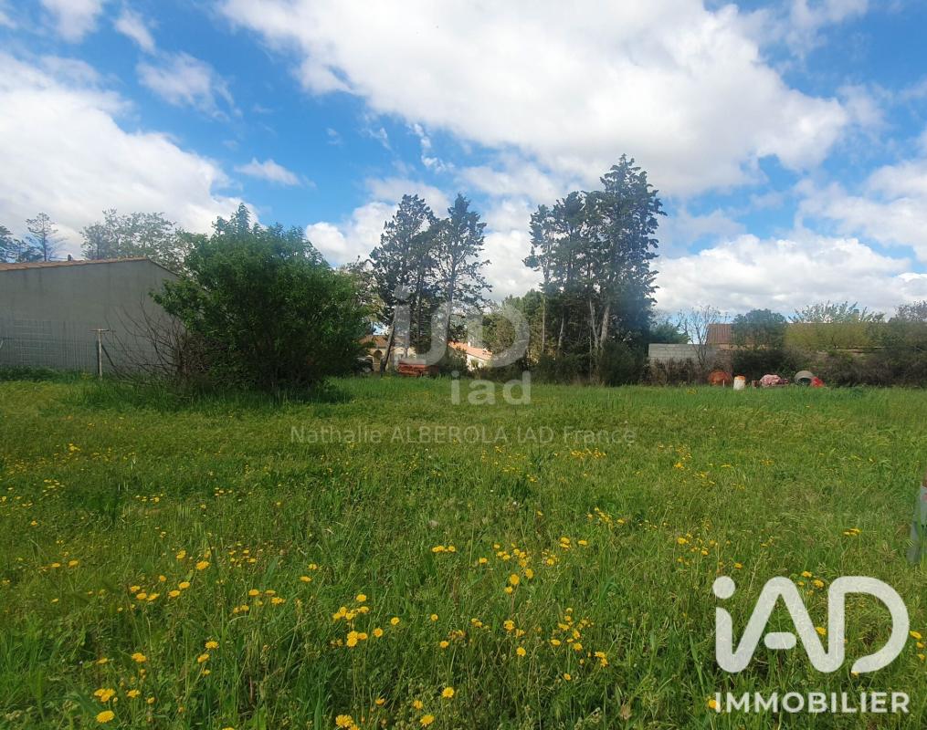 Terrain  Canet