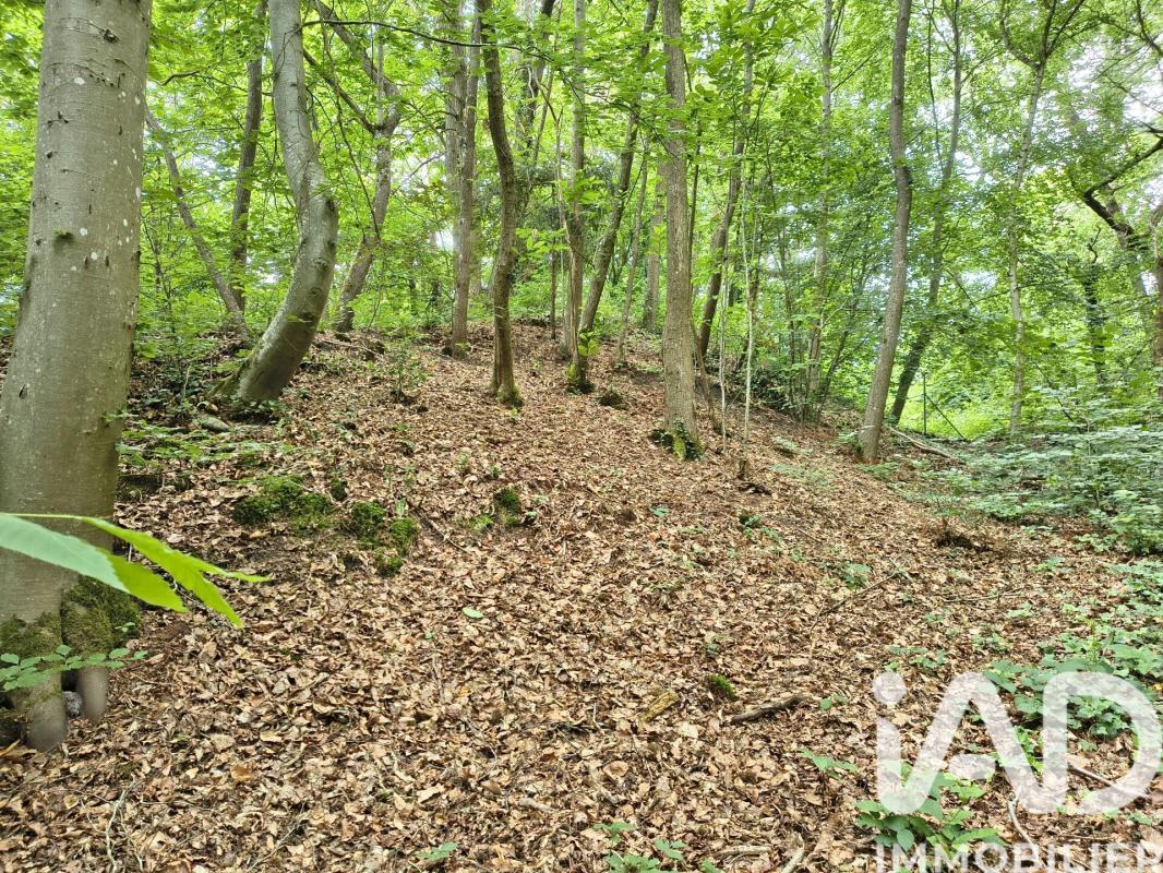Maison 6 Pièce(s) Saint-Arnoult-en-Yvelines - Photo 25