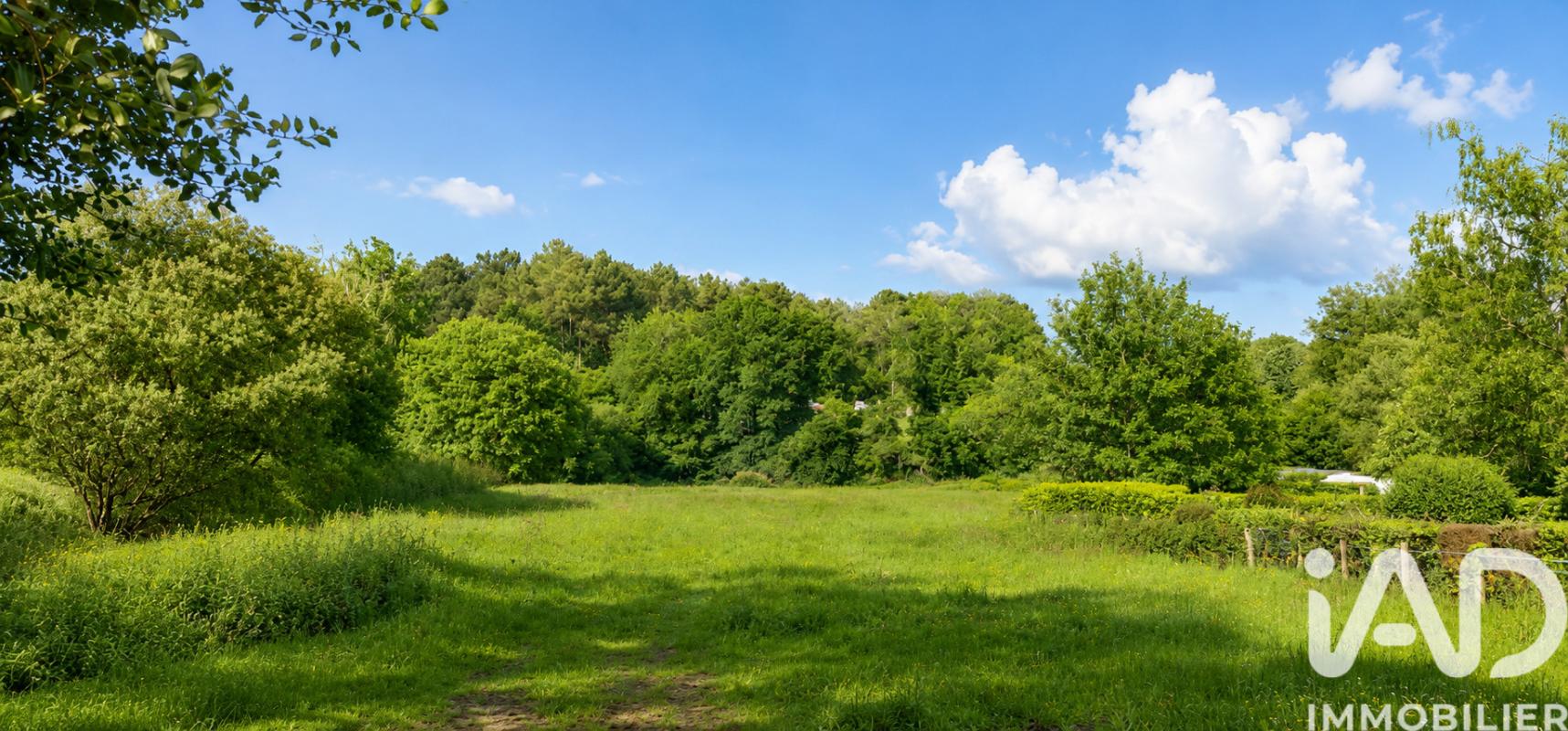 Terrain  Allaire