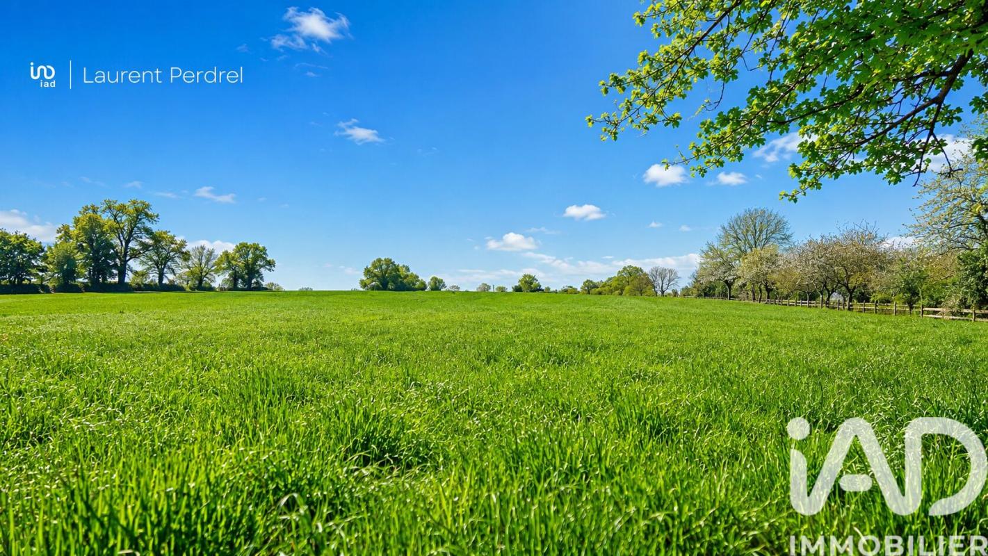 Terrain  Allaire