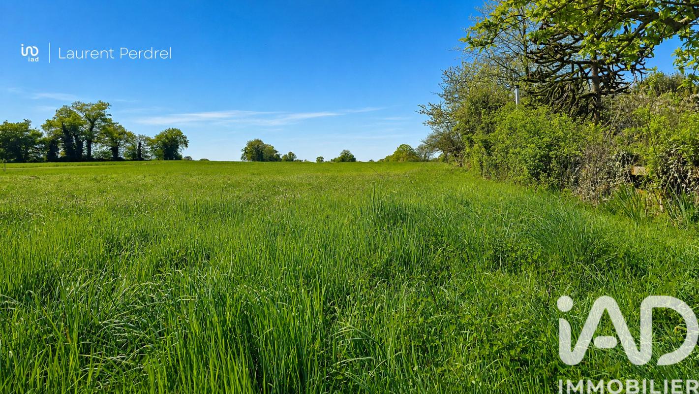 Terrain  Allaire