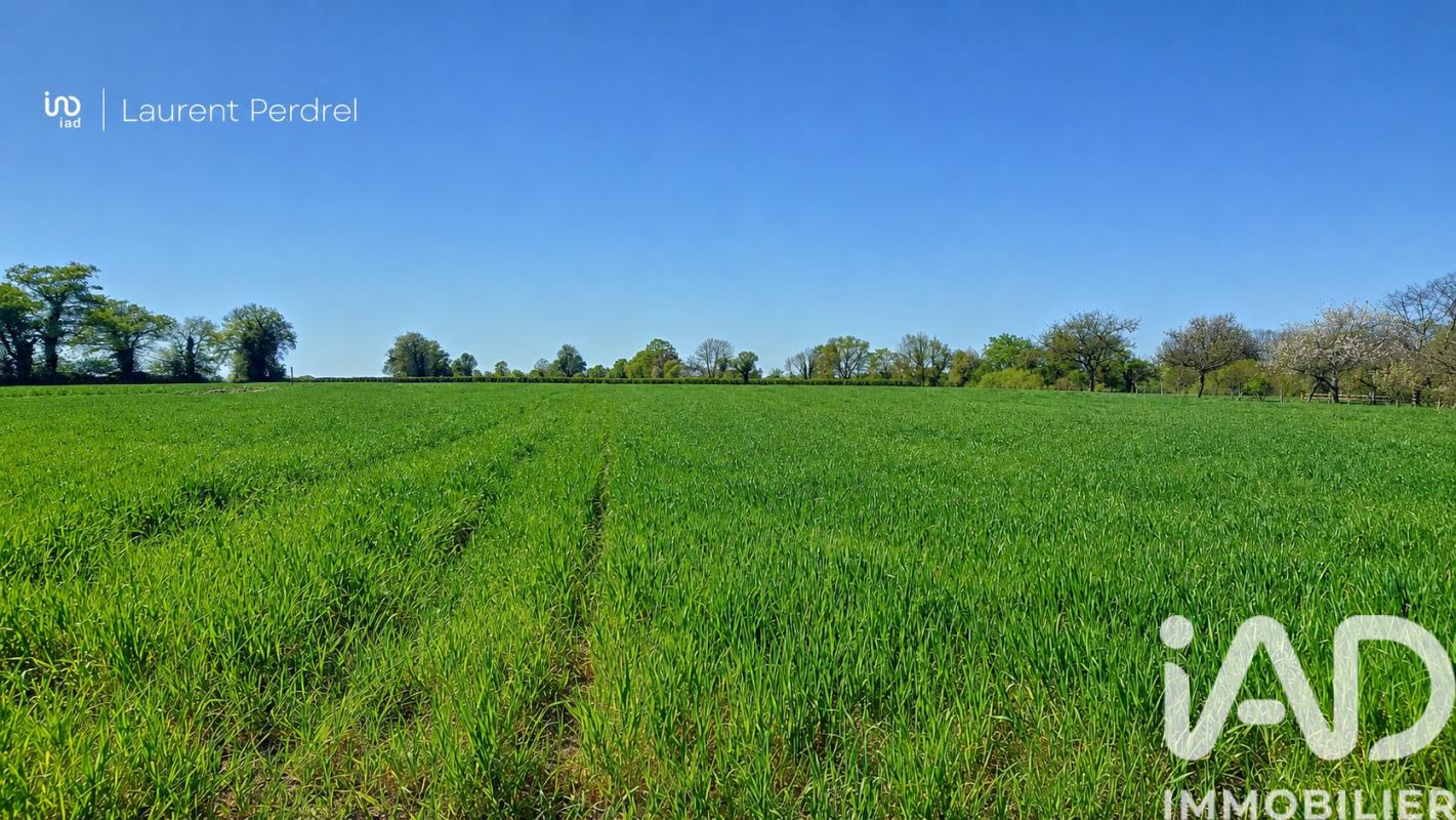 Terrain  Allaire