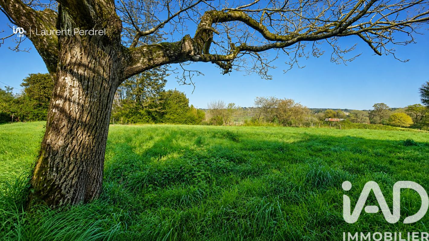 Terrain  Allaire