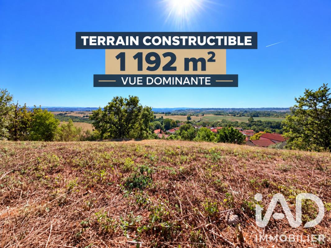 Terrain  Albi