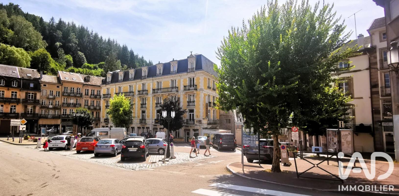 Immeuble  Plombières-les-Bains - Photo 21
