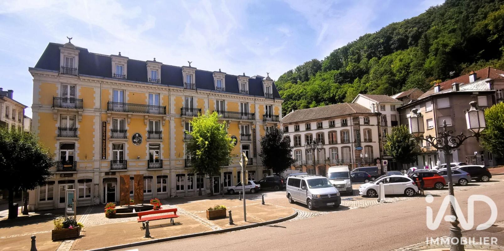 Immeuble  Plombières-les-Bains - Photo 22