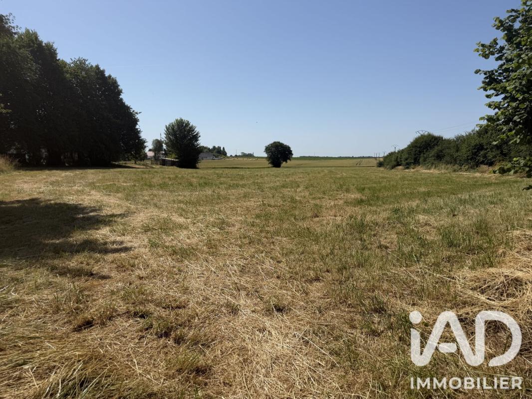 Terrain  Viels-Maisons