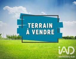 Terrain  Revel