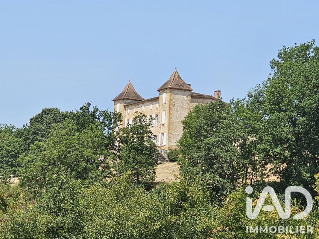 Château 9 Pièce(s) Condezaygues - Photo 1