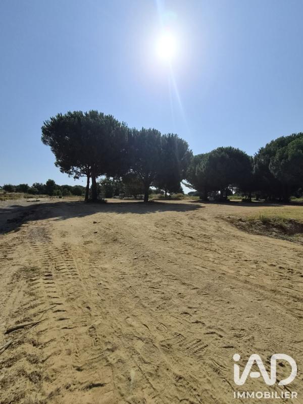 Terrain  Latour-Bas-Elne
