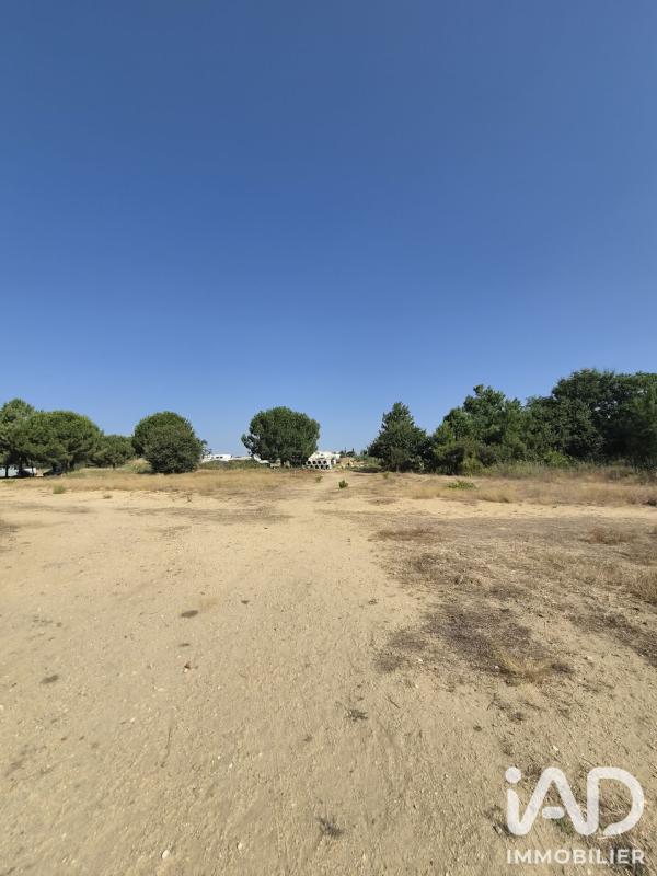 Terrain  Latour-Bas-Elne