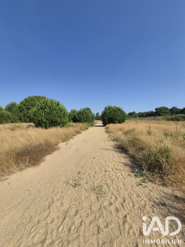 Terrain  Latour-Bas-Elne