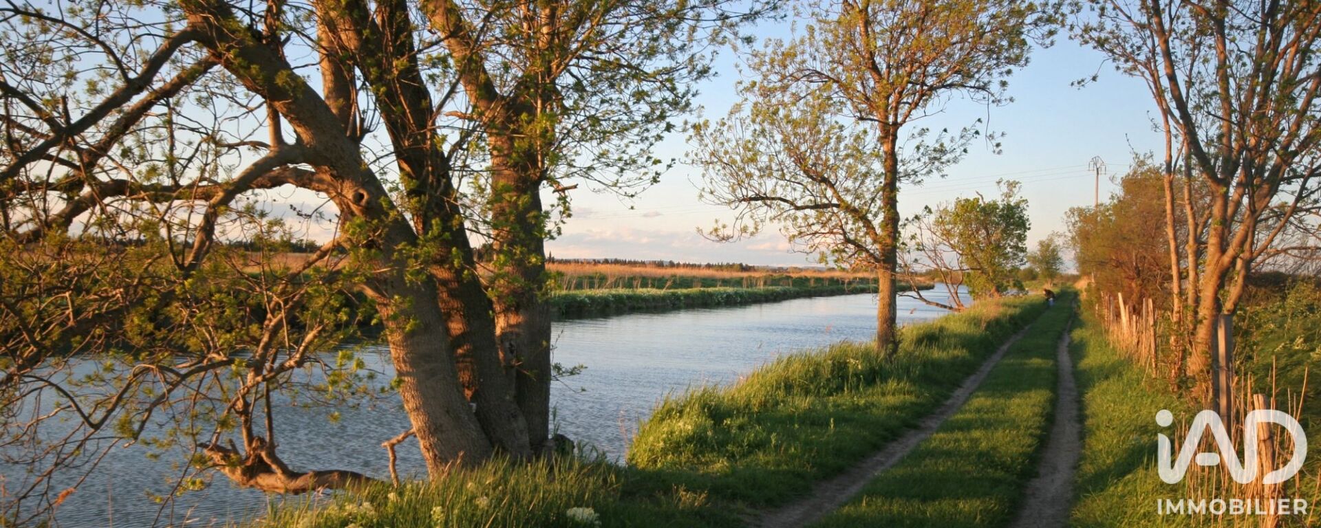 Terrain  Lunel