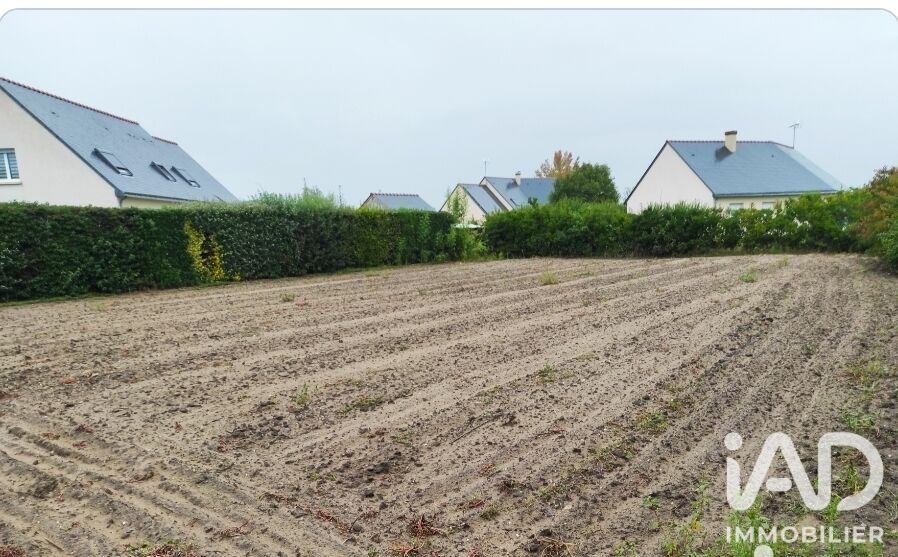 Terrain  Beaufort-en-Anjou