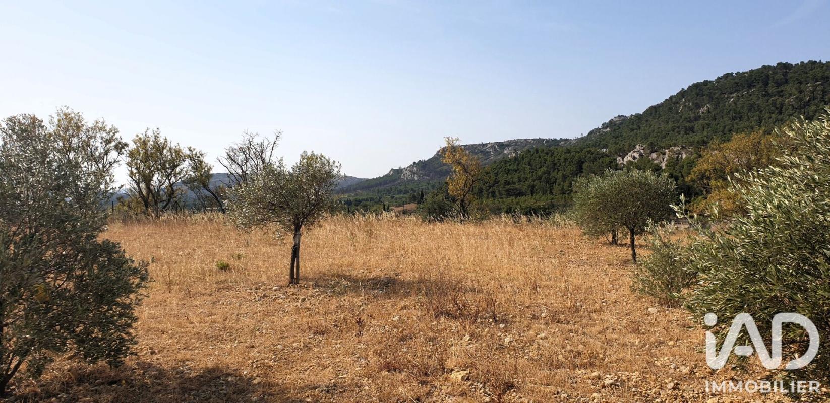 Terrain  Thézan-des-Corbières