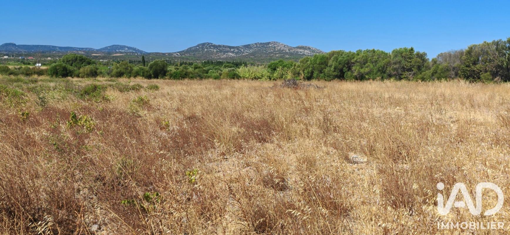 Terrain agricole  La Palme